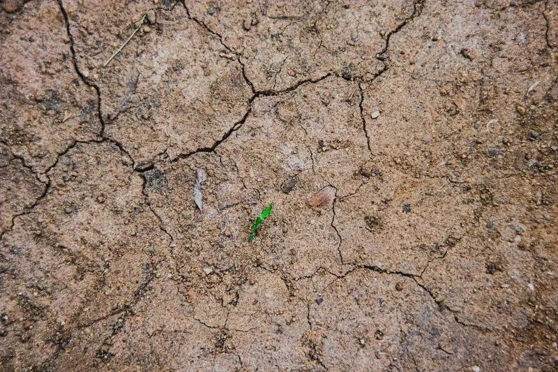 Climate Resilience Initiative